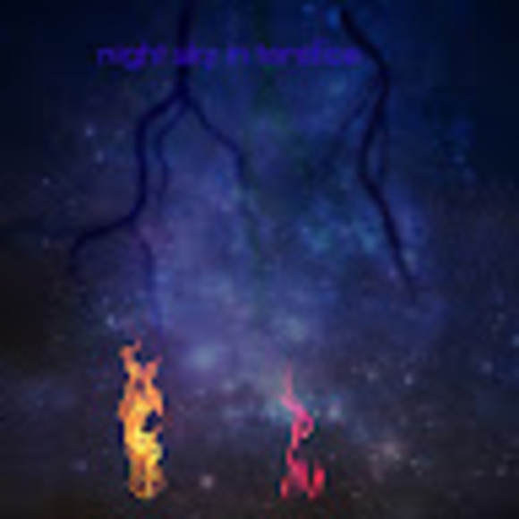 Meet your Posher, Taz - Picture 1 of 1